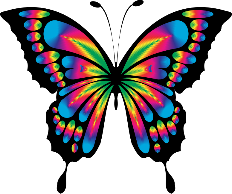 Prismatic Butterfly Remix