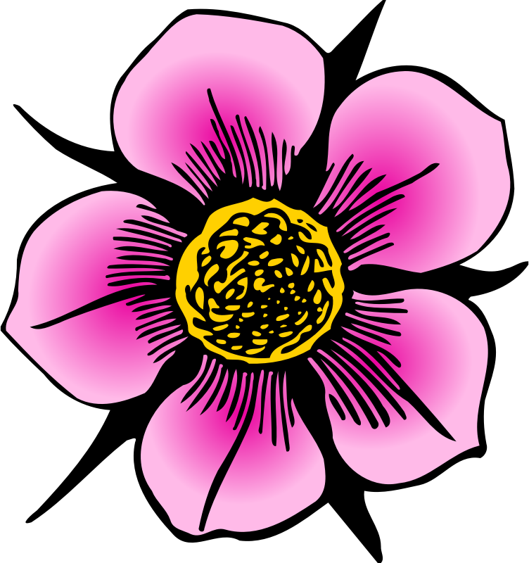 Flower 95 (colour)