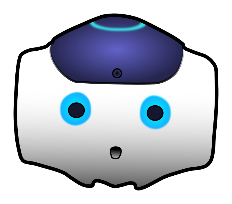 head of nao robot