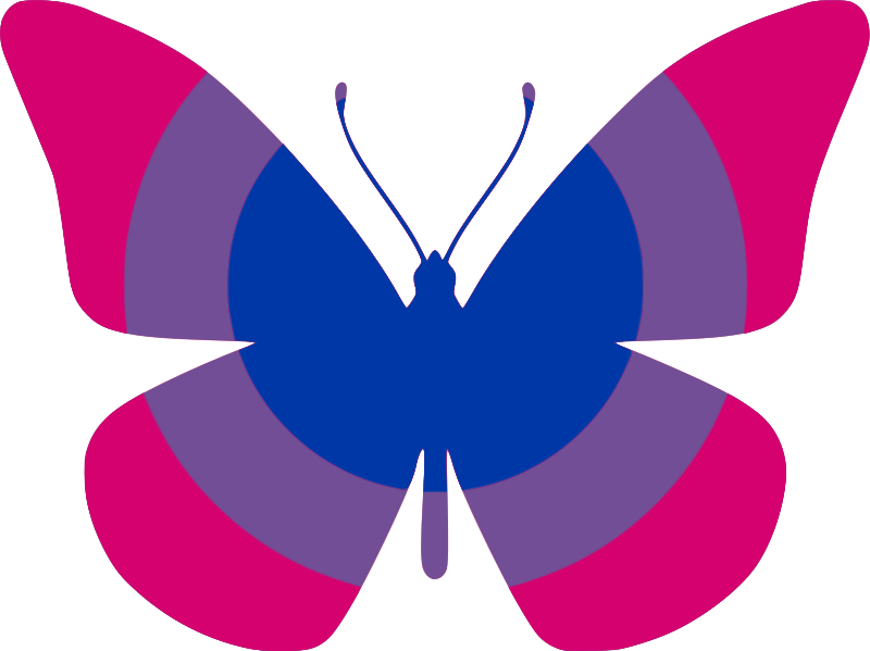 Bi Flag Butterfly