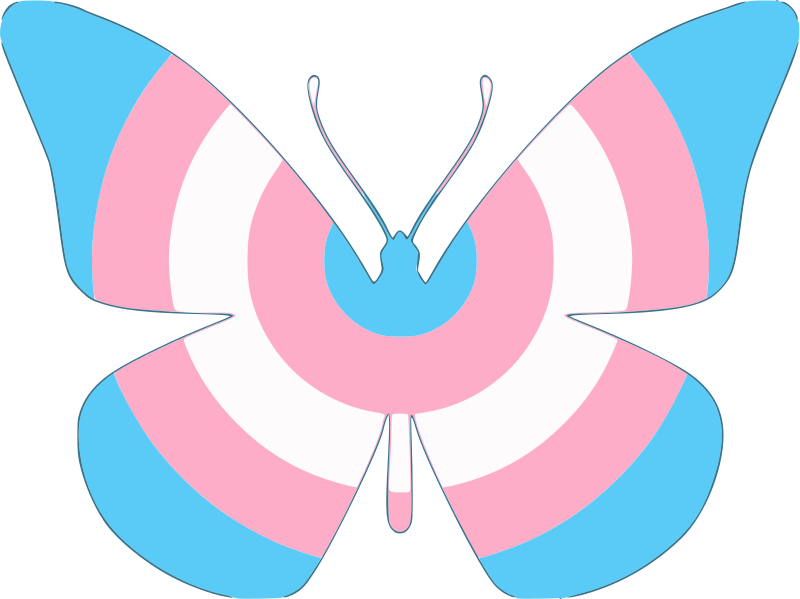 Trans Flag Butterfly