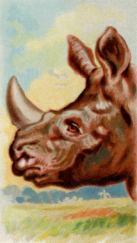 Cigarette card - Indian rhinoceros