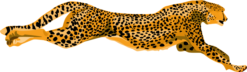 leopard-cheetah