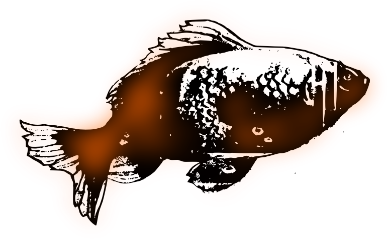 Simple Goldfish