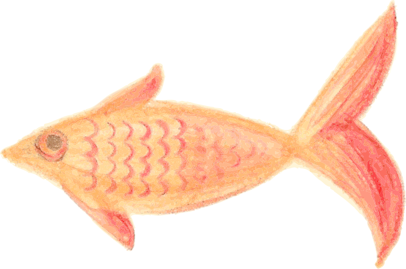 Painted Fish Orange patterned traced