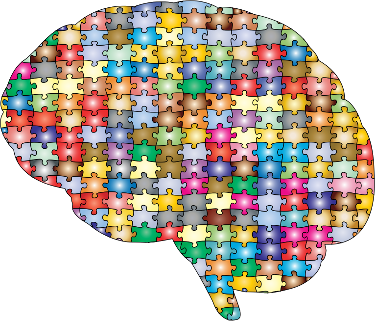 Brain Jigsaw Puzzle Prismatic With Stroke 2