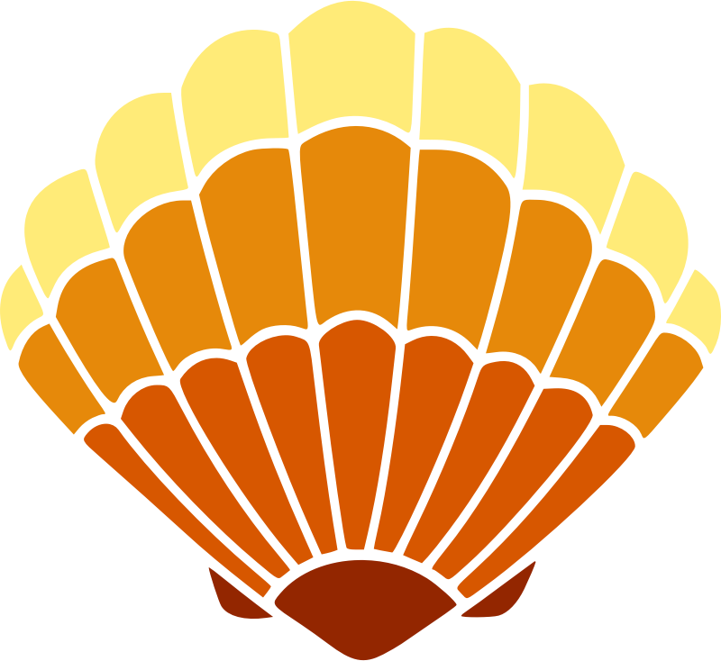 Sea shell 45 (colour 2)
