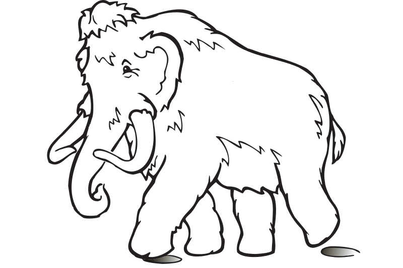 White Woolly Mammoth