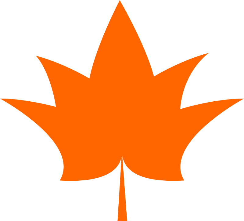 Maple leaf vectorized