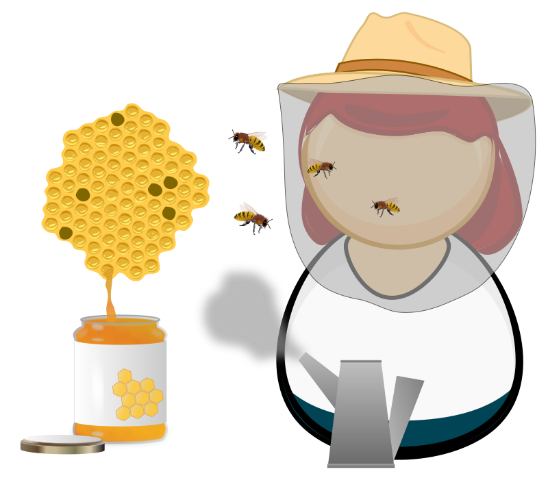 Beekeeper / apiarist