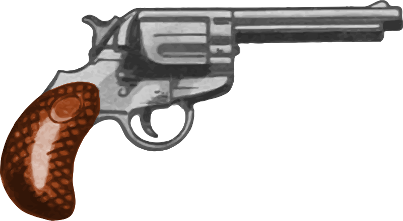 Gun 21