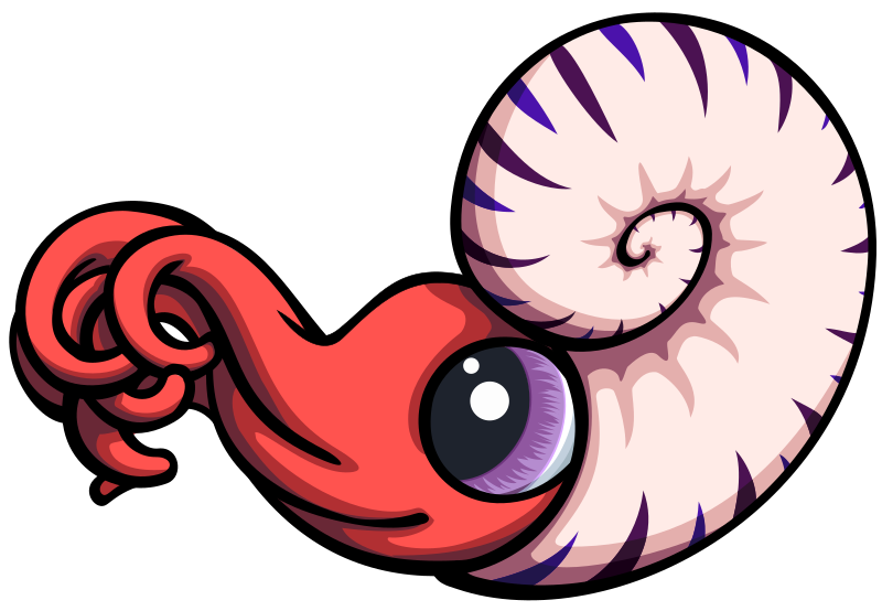 Phân Lớp Cúc Đá Bé 1 - Ammonite Baby 1