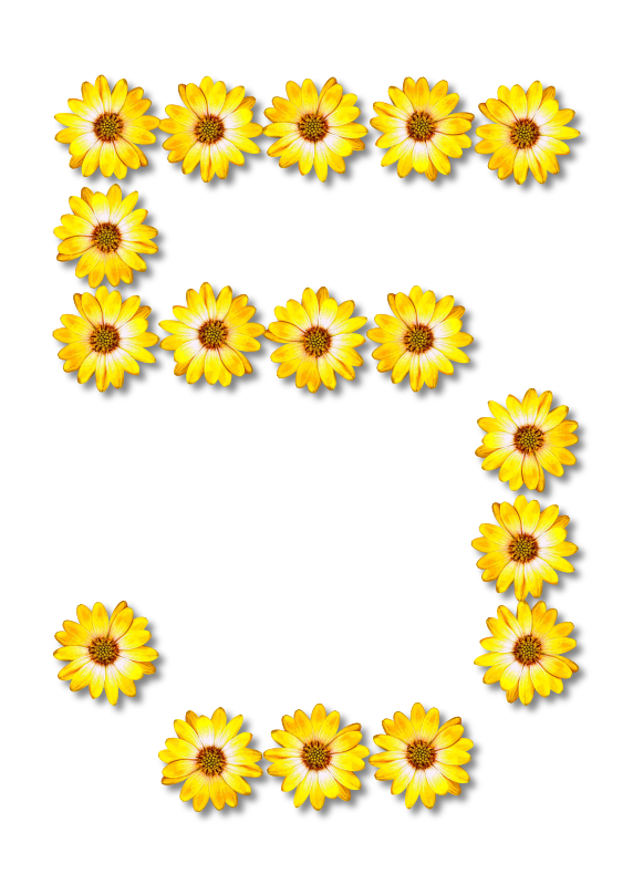 Floral alphabet, 5