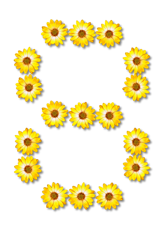 Floral alphabet, 8