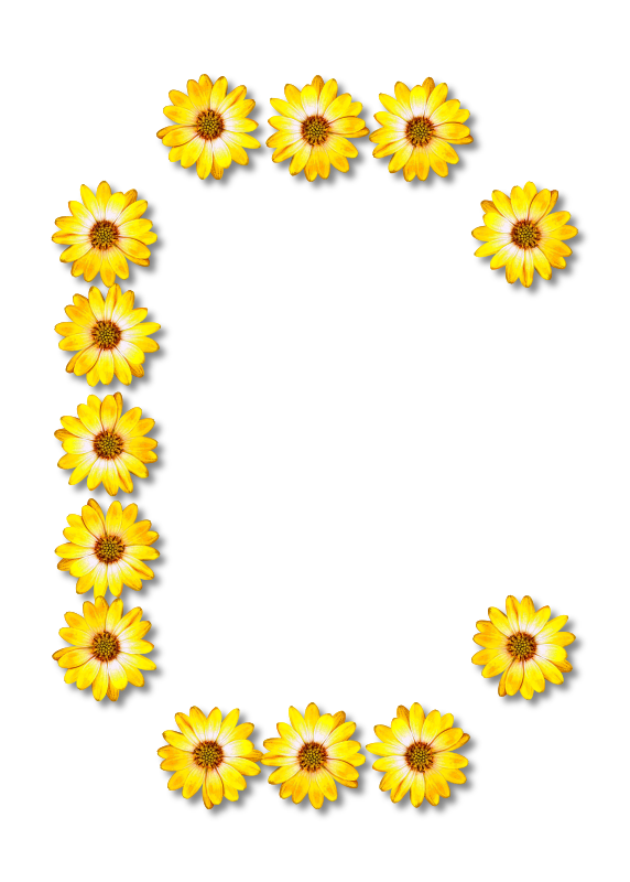 Floral alphabet, C