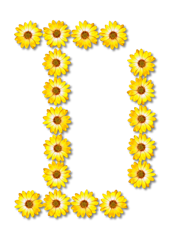 Floral alphabet, D