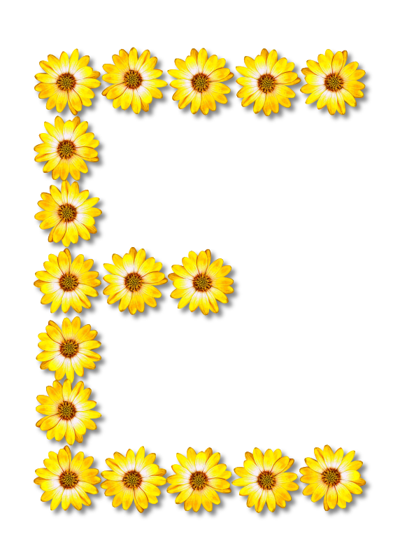 Floral alphabet, E