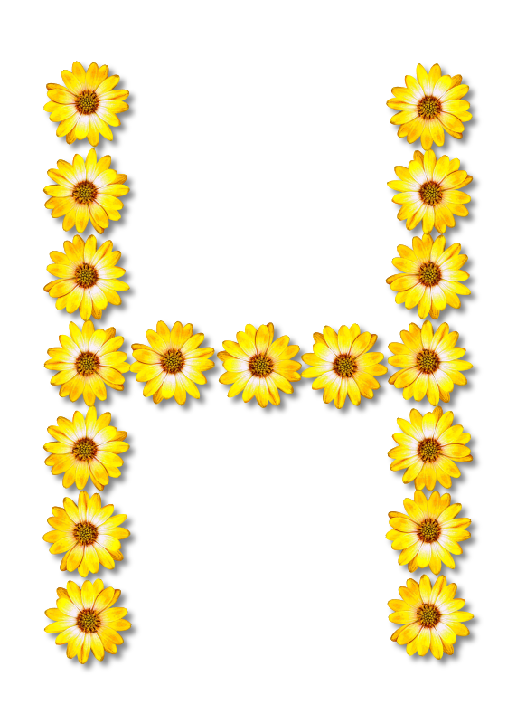 Floral alphabet, H
