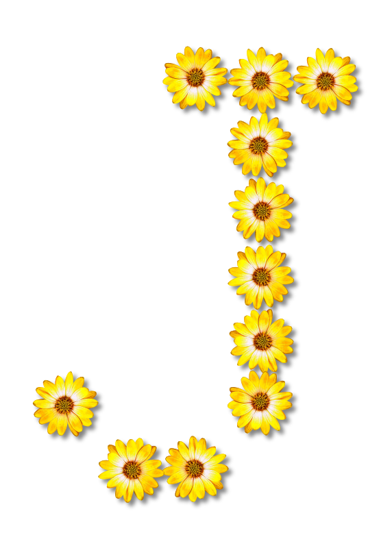 Floral alphabet, J