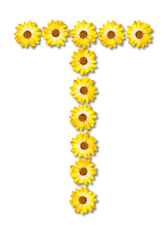 Floral alphabet, T