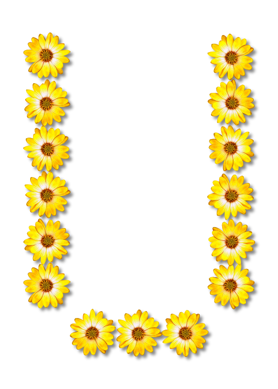 Floral alphabet, U