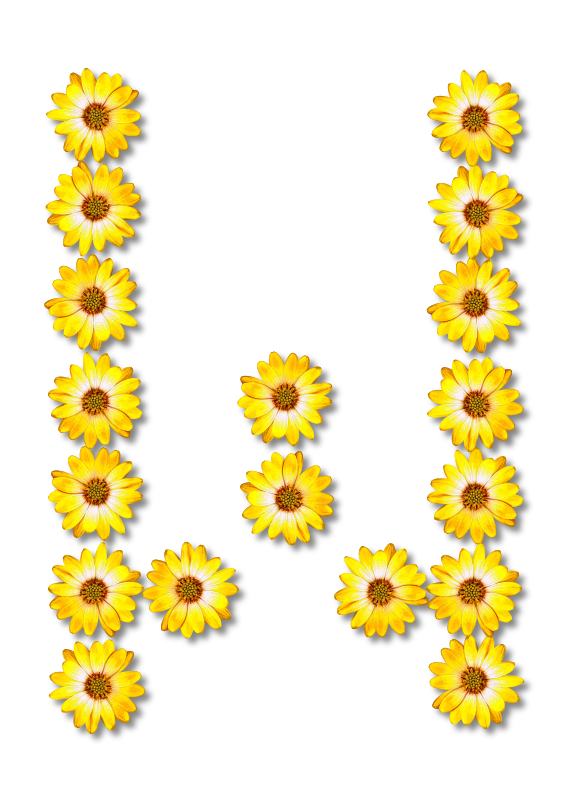 Floral alphabet, W