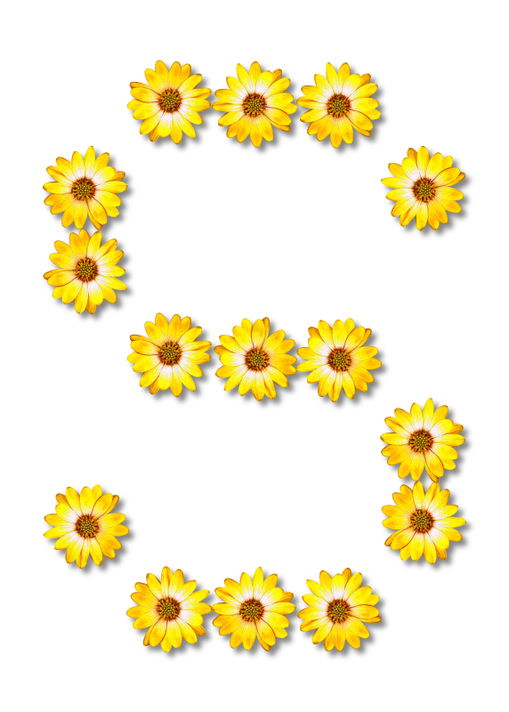 Floral alphabet, S