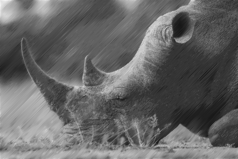 halftone rhinoceros