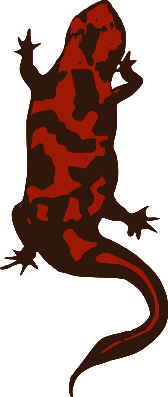 Red Lizard