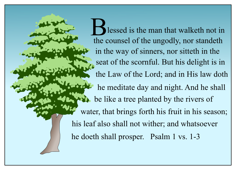 Tree & Psalm 1