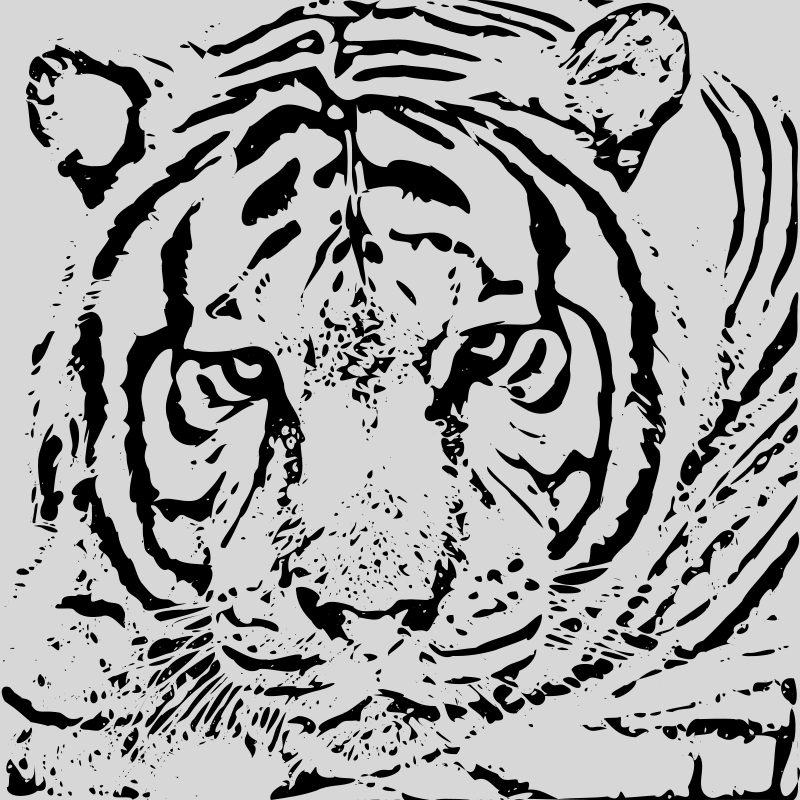 TIGER / TIGRE