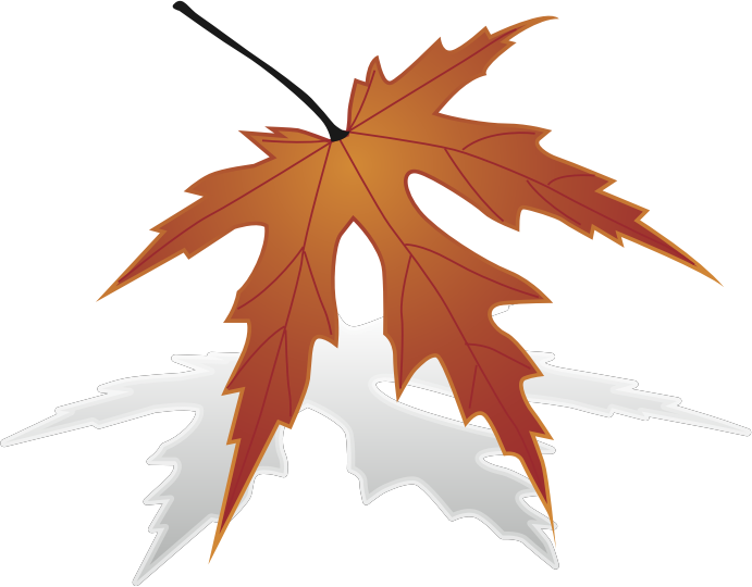 japanese maple leaf