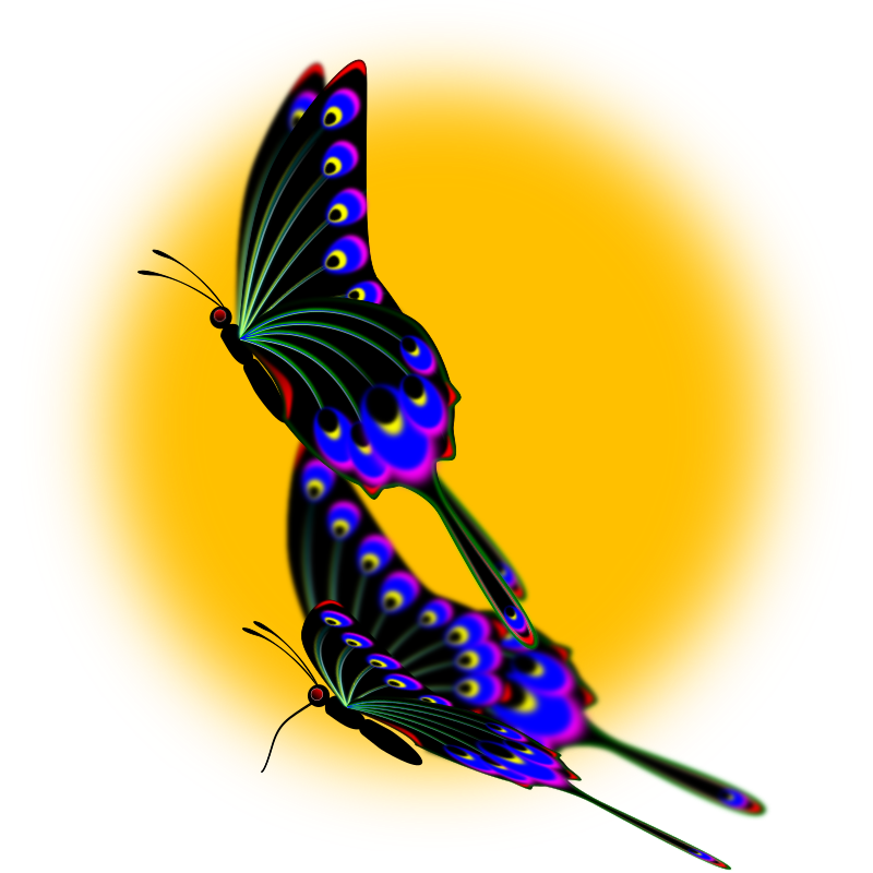 Peacock Swallowtail