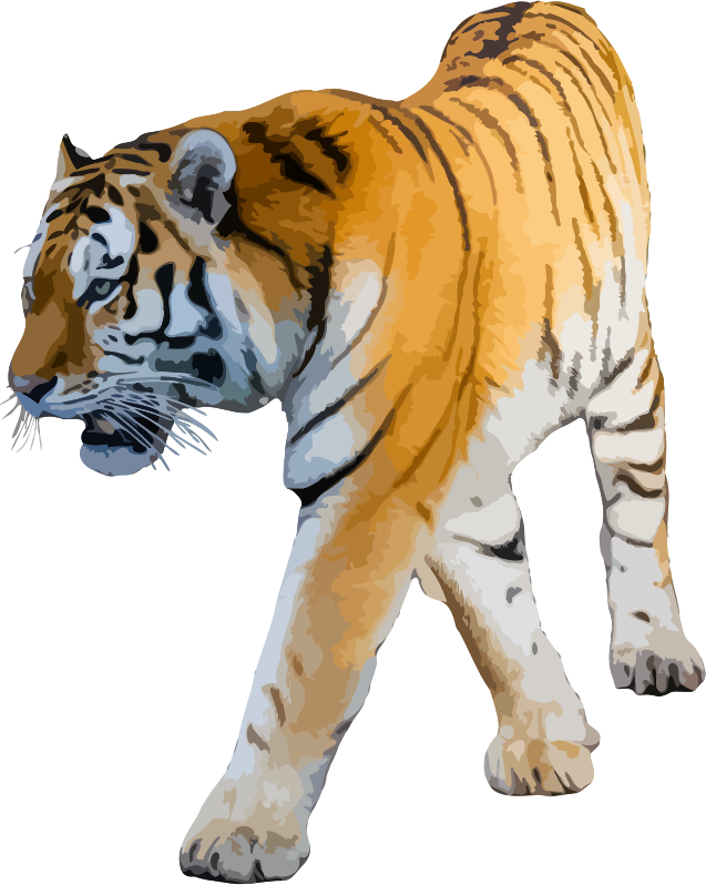 Tiger 3 (low detail)