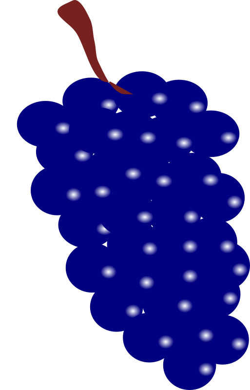 grapes blue