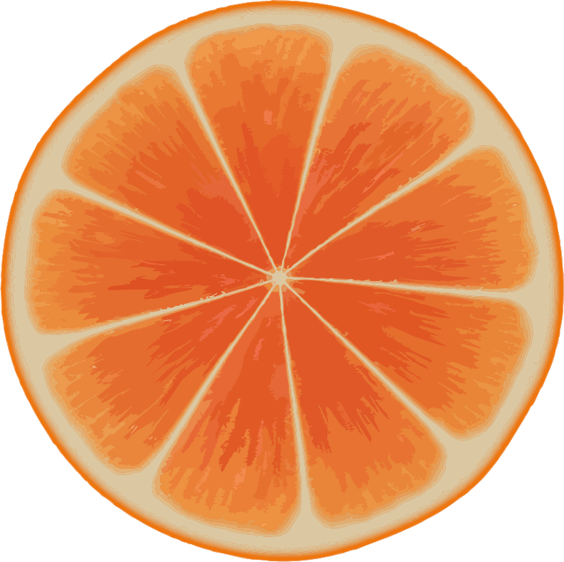 Orange slice 3