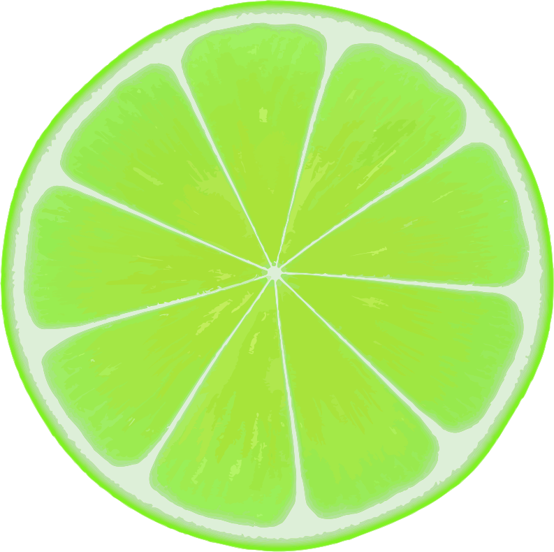 Lime slice 3