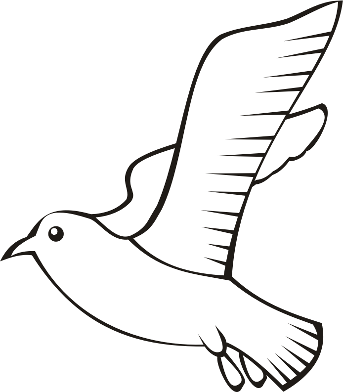 Bird in flight 5 (outline)