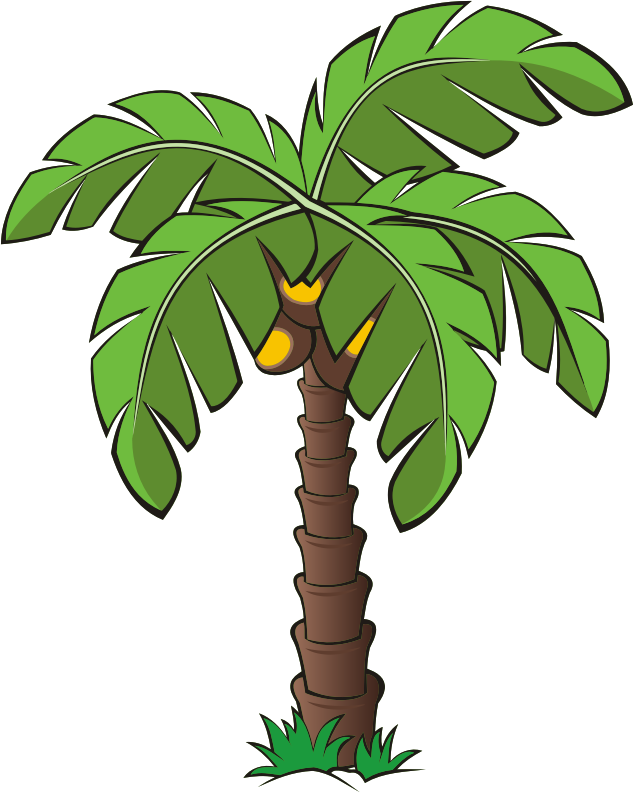 Palm tree 7