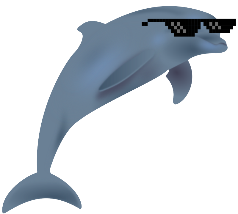 „Deal with it“-Dolphin