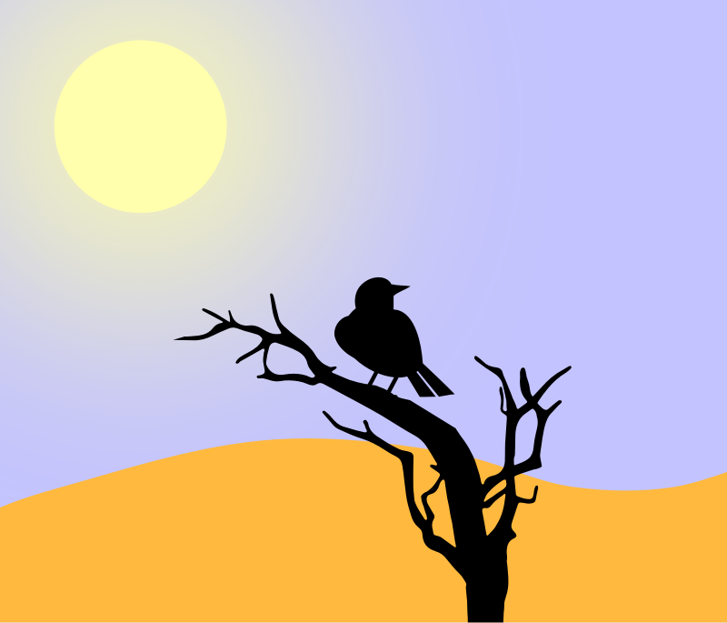 Bird in tree