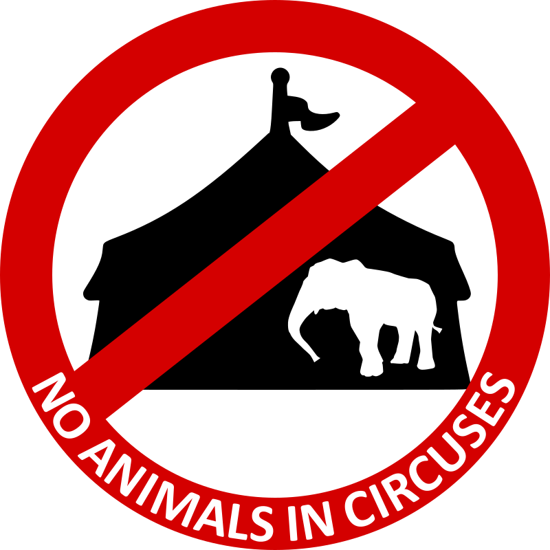 No Animals in circuses 4