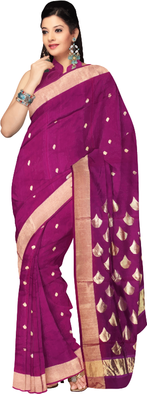 Woman in saree 8