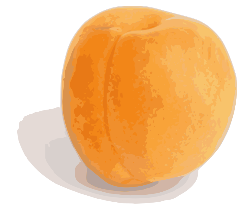 Abricot (entier)