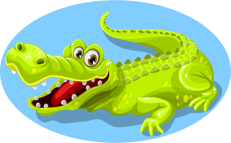 Alligator (#4)