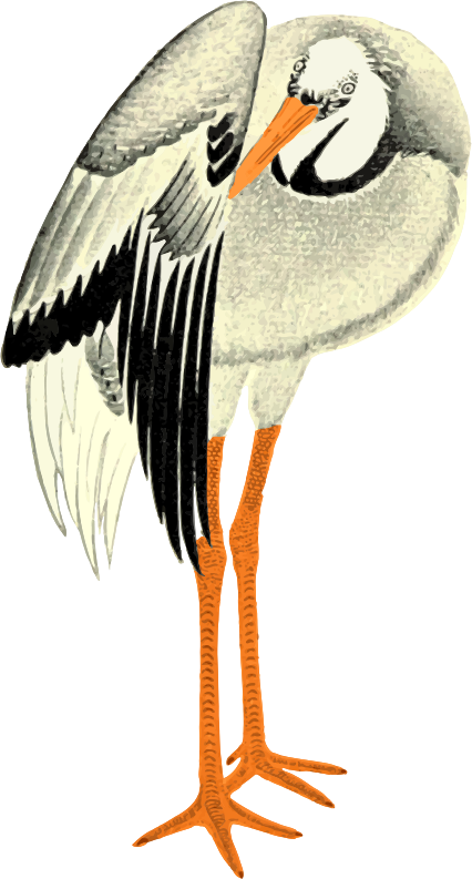 Stork 3