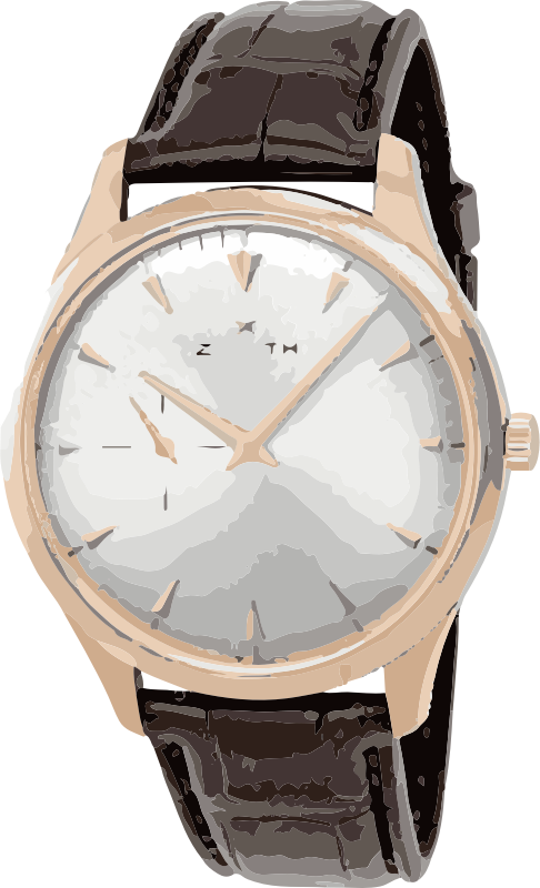 vintage classic brown swiss watch - horlogerie