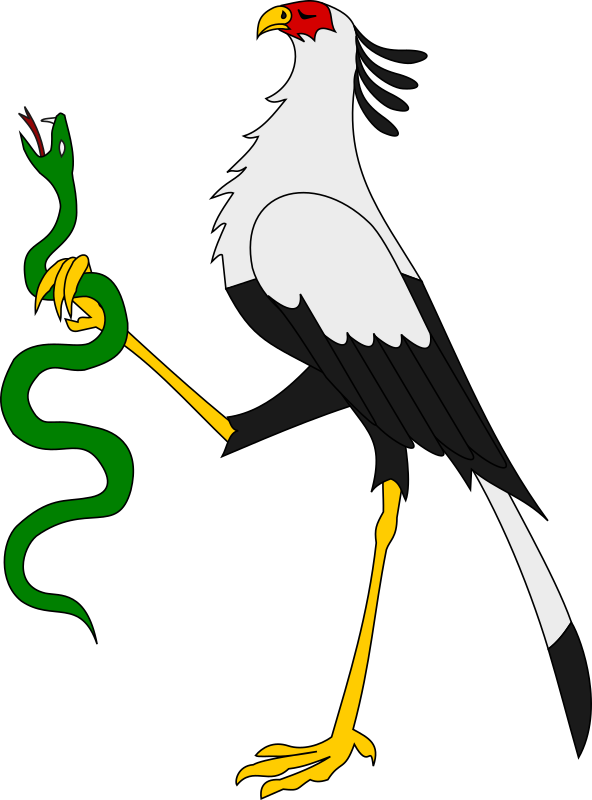 Secretary bird holding a snake