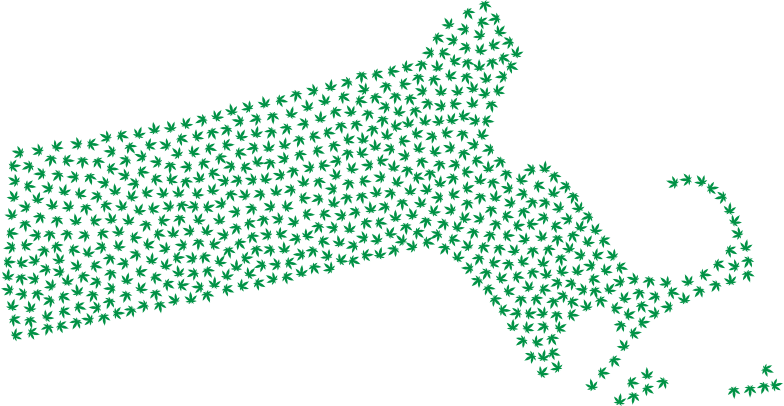 Massachusetts Marijuana Green