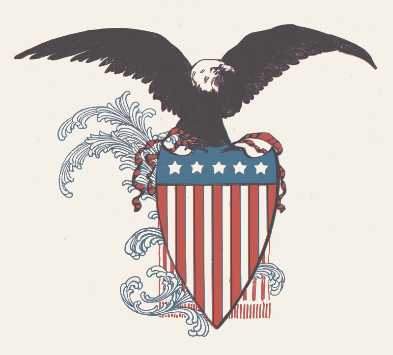 US Eagle Shield